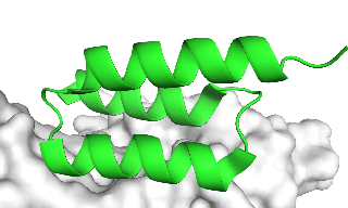 Cao Lab Logo